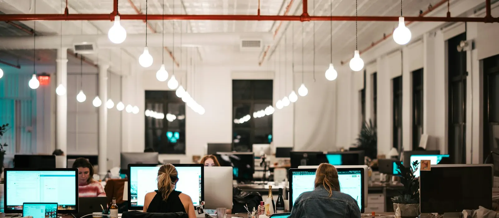 A software team working at computer screens
